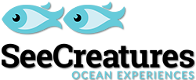 See Creatures Ocean Experiences